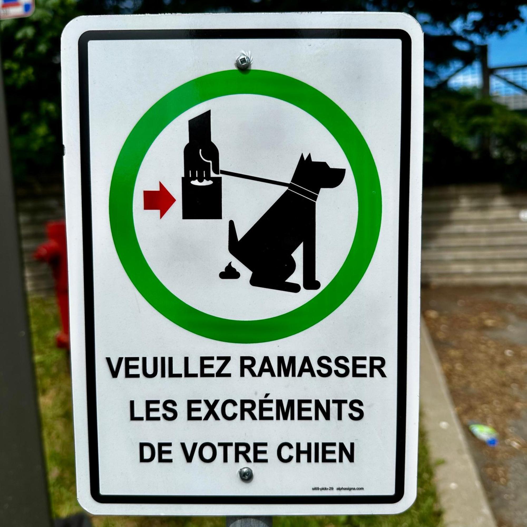 Initial - Moose - Chutes-Montmorency Boischatel Exterior photo